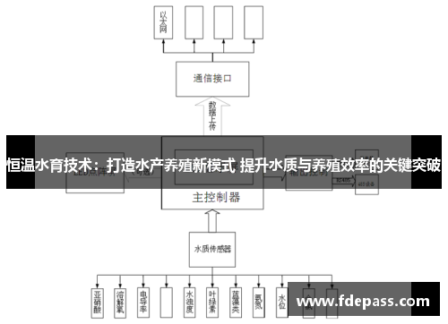 恒温水育技术：打造水产养殖新模式 提升水质与养殖效率的关键突破